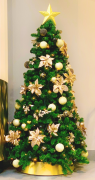 julgran 21 lista